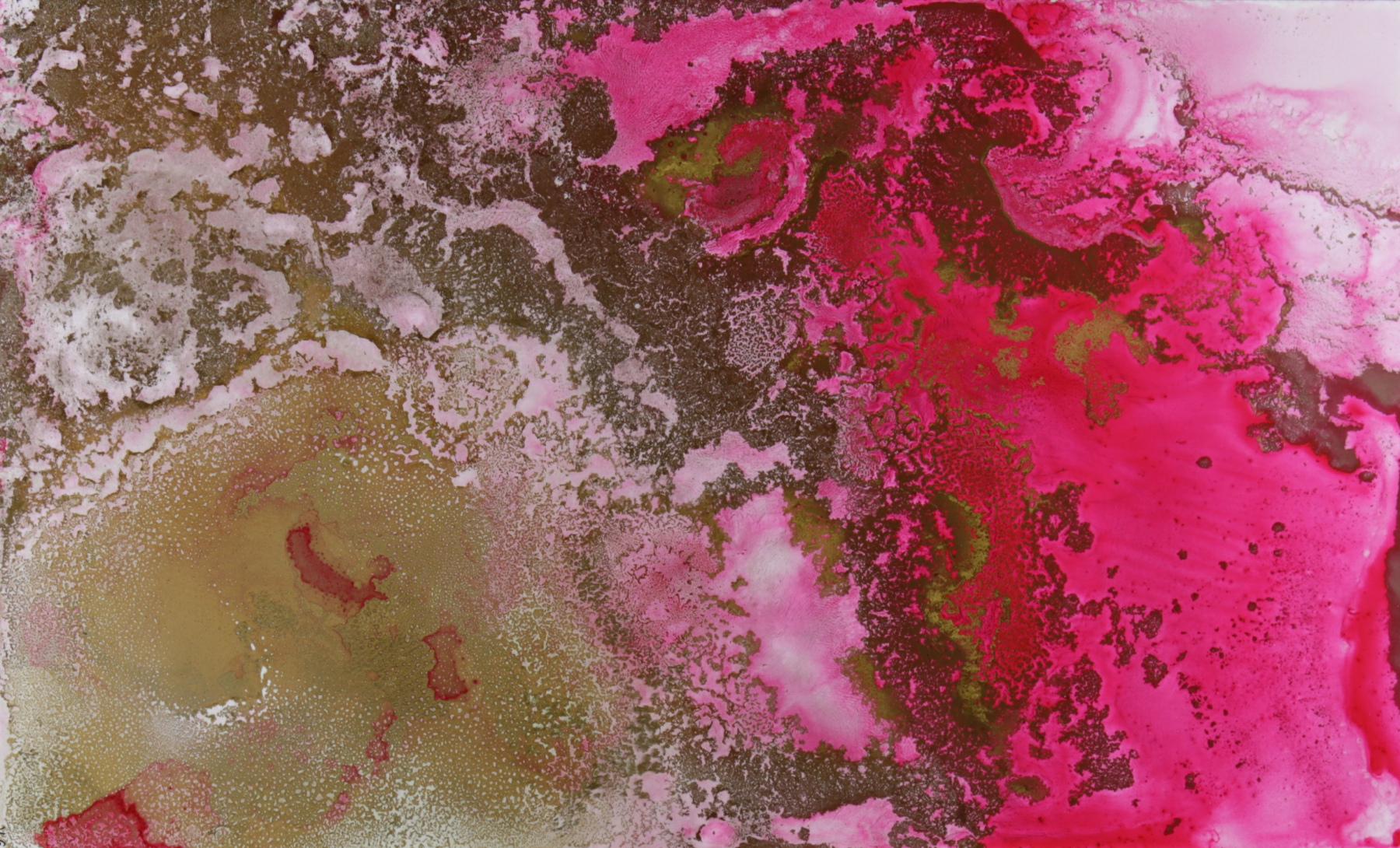 Abstracción Fucsia